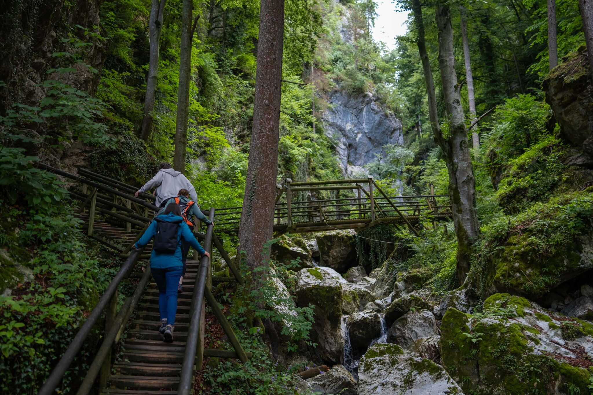 Aufstieg in die Kesselfallklamm