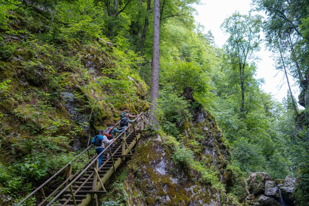 Aufstieg in der Klamm